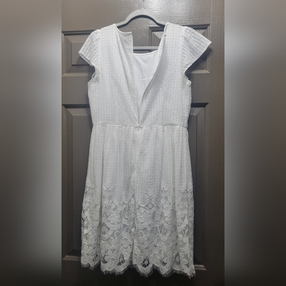 LOFT Lace Flare Dress NWT size 6 - Picture 5 of 6